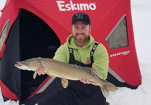 large northern pike during ice fishing